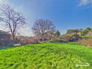 Garden- click for photo gallery